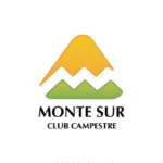 LOGO 29