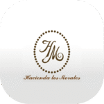 LOGO 62