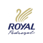 LOGO 80